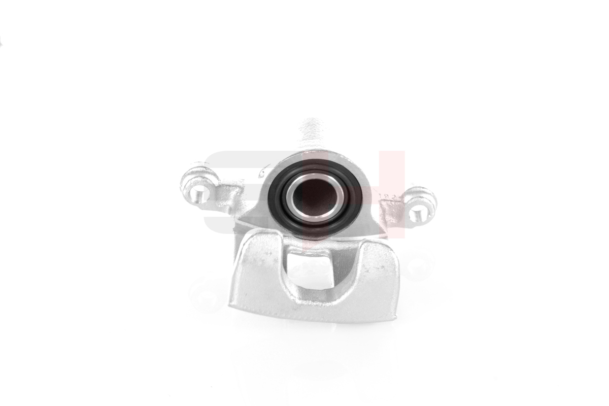 GH Pidurisadul GH-452293V