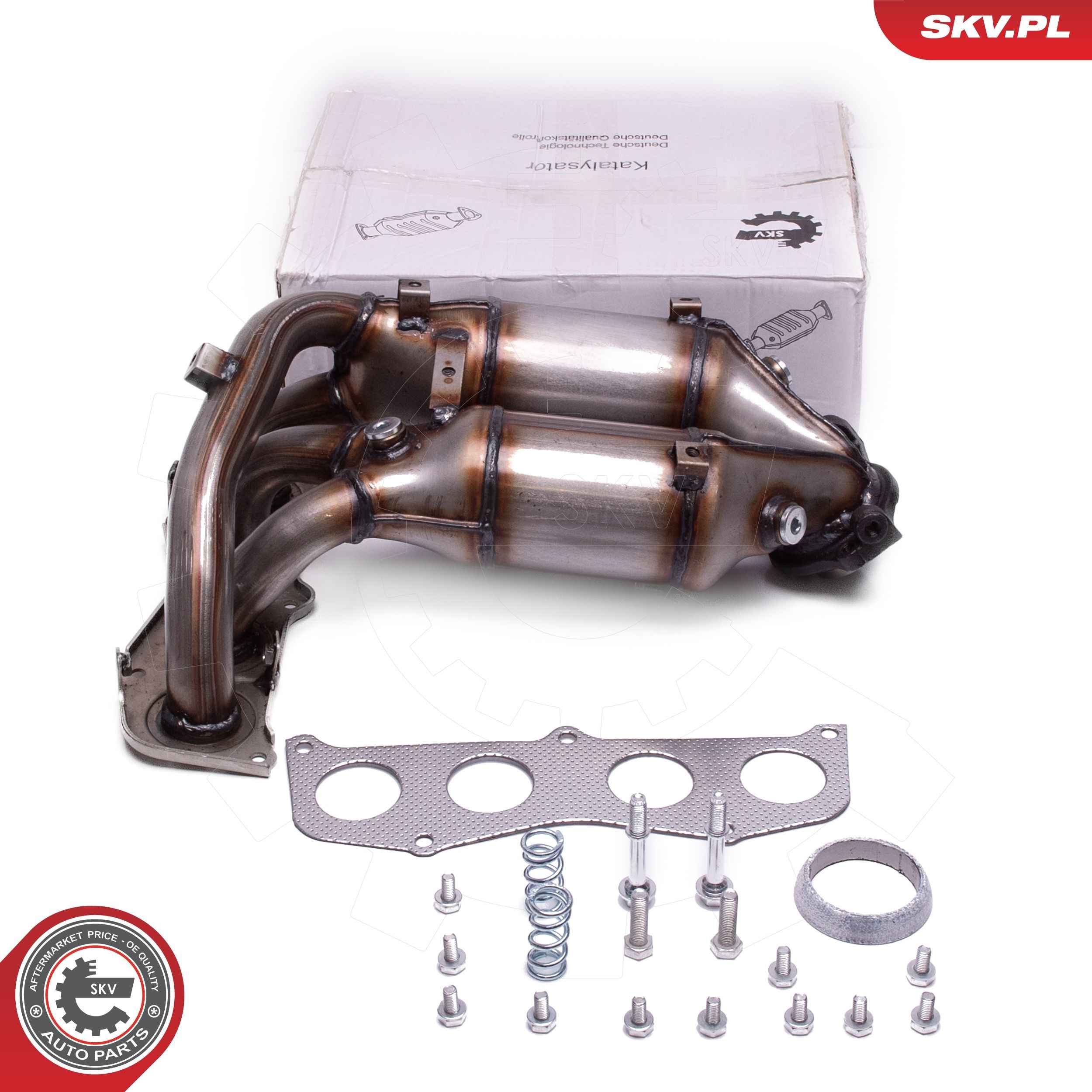 ESEN SKV Katalysator 62SKV024