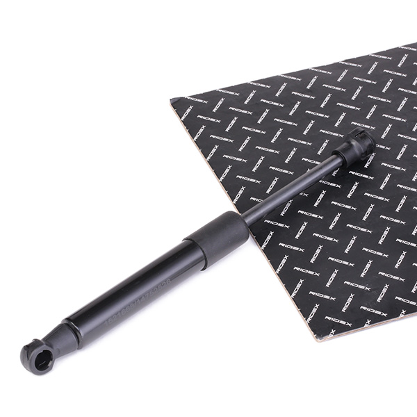 RIDEX Gaasivedru, cabrio katus 1207G0004