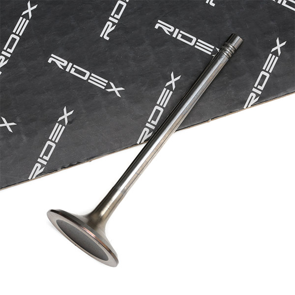 RIDEX įvado vožtuvas 1269I0004