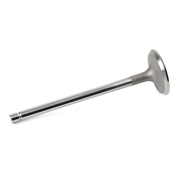 RIDEX Imuventtiili 1269I0011