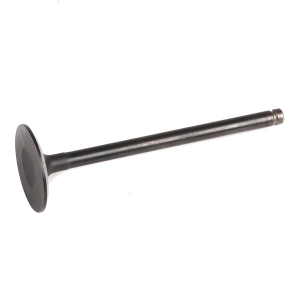 RIDEX Zawór dolotowy 1269I0013