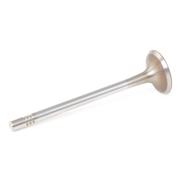 RIDEX Imuventtiili 1269I0017