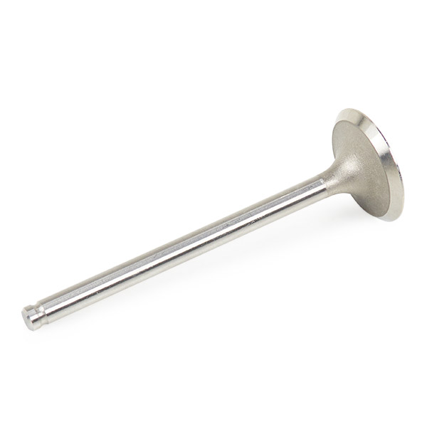 RIDEX Imuventtiili 1269I0018