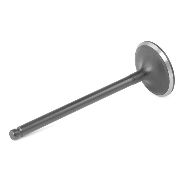 RIDEX Imuventtiili 1269I0043