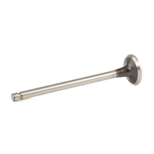 RIDEX Zawór wydechowy 1270O0010