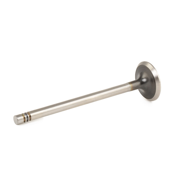 RIDEX Zawór wydechowy 1270O0019