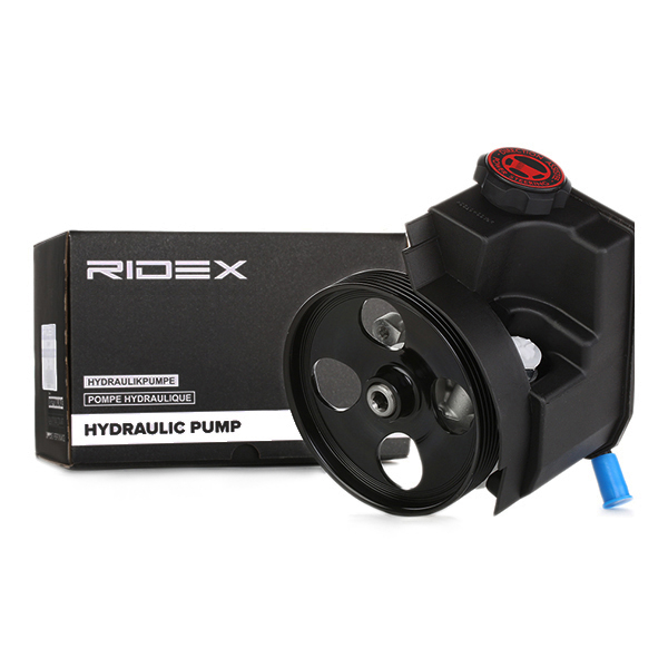 RIDEX Roolivõimendi pump 12H0035