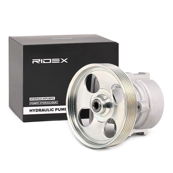 RIDEX Roolivõimendi pump 12H0069