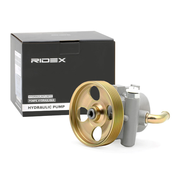 RIDEX Roolivõimendi pump 12H0075