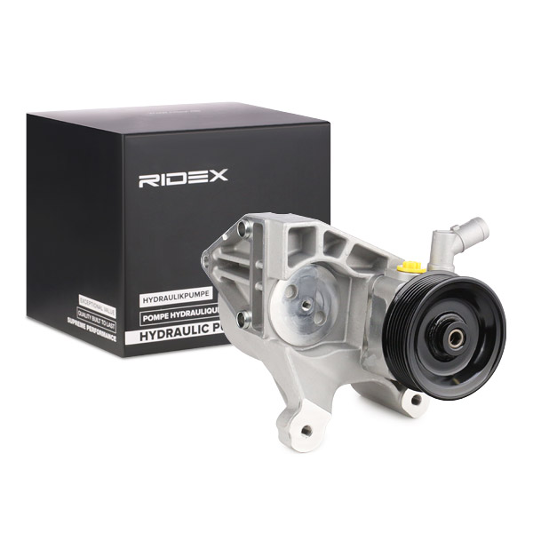 RIDEX Roolivõimendi pump 12H0160