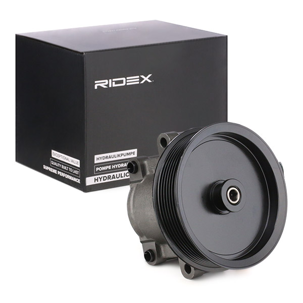 RIDEX Roolivõimendi pump 12H0196