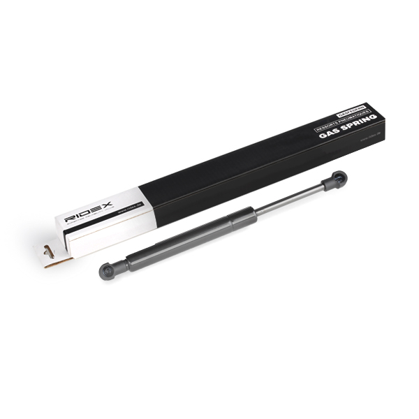 RIDEX dujinė spyruoklė, bagažinė 219G0234