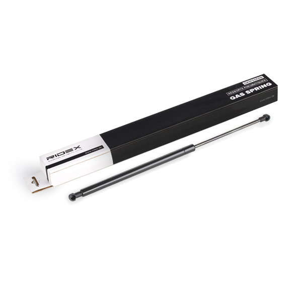 RIDEX Kaasujousi, tavaratila 219G0396