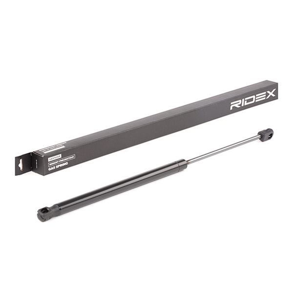 RIDEX Gaasivedru, pagasi-/veoruum 219G0547