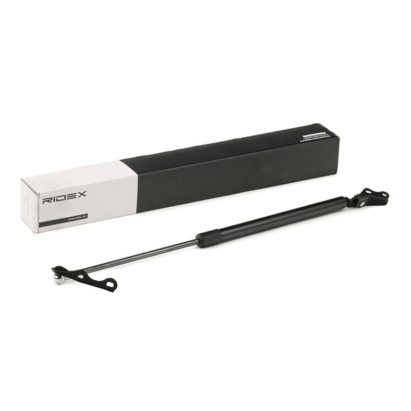 RIDEX Kaasujousi, tavaratila 219G0606