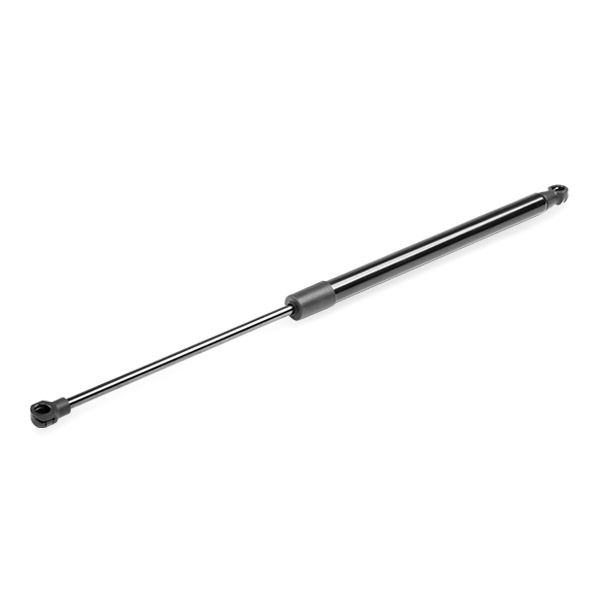 RIDEX Kaasujousi, tavaratila 219G0869
