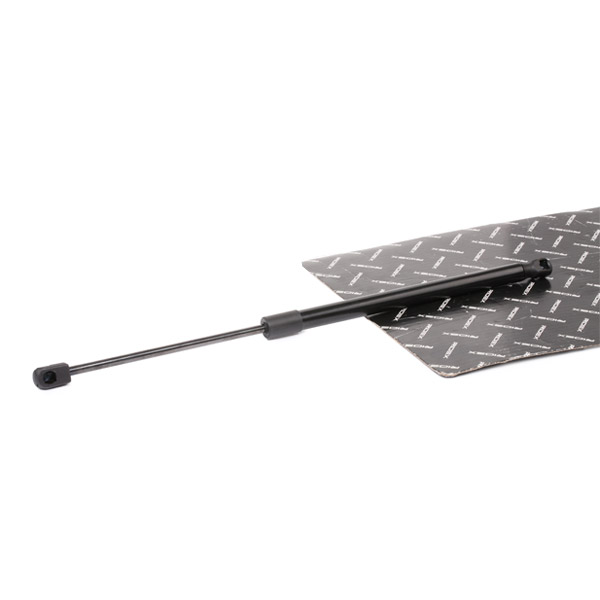 RIDEX Kaasujousi, tavaratila 219G0955