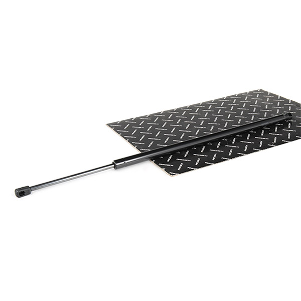 RIDEX dujinė spyruoklė, bagažinė 219G1057