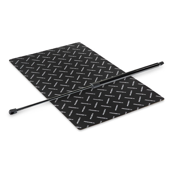 RIDEX dujinė spyruoklė, bagažinė 219G1142