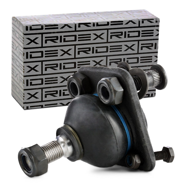 RIDEX Šarniir 2462S0059