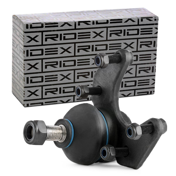 RIDEX Šarniir 2462S0061