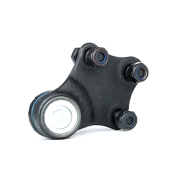 RIDEX Šarniir 2462S0071