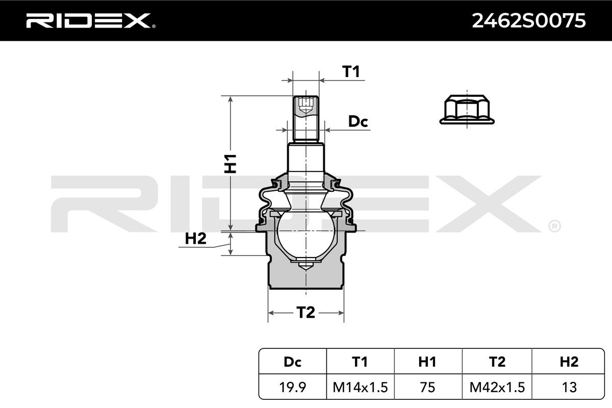 RIDEX Šarniir 2462S0075
