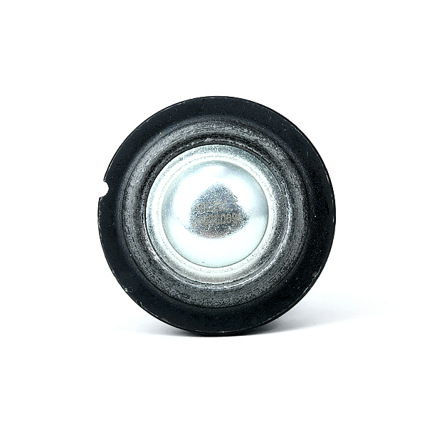 RIDEX Šarniir 2462S0094