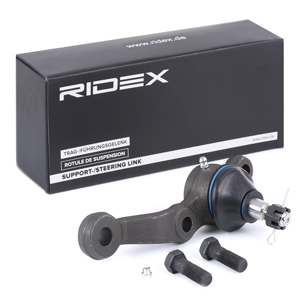 RIDEX Šarniir 2462S0096