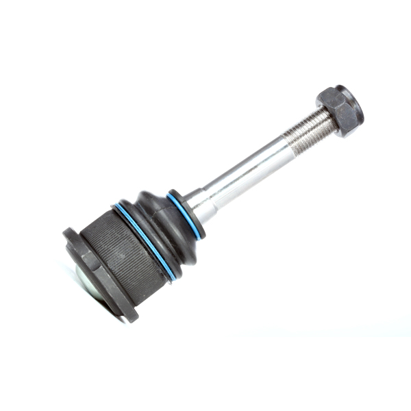 RIDEX Šarniir 2462S0103