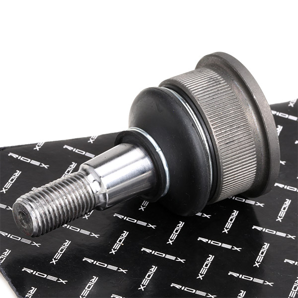 RIDEX Šarniir 2462S0104