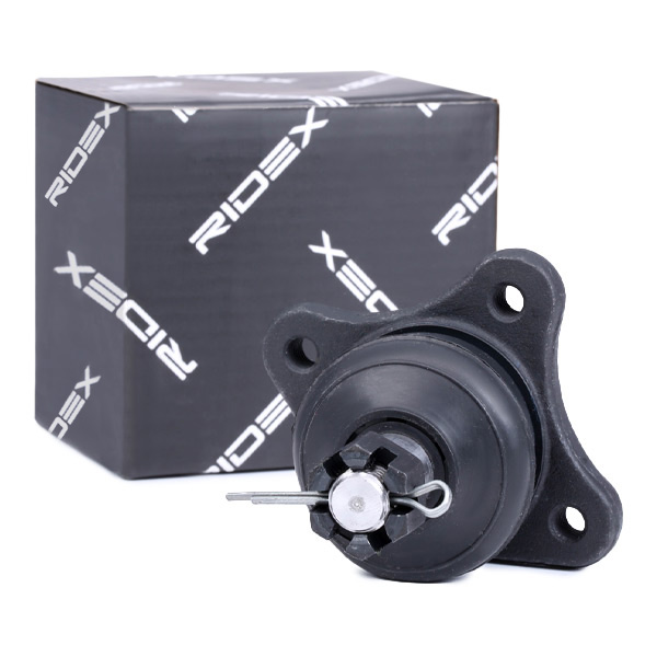 RIDEX Šarniir 2462S0121