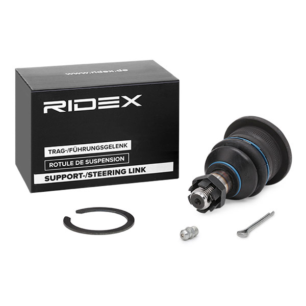 RIDEX Šarniir 2462S0132