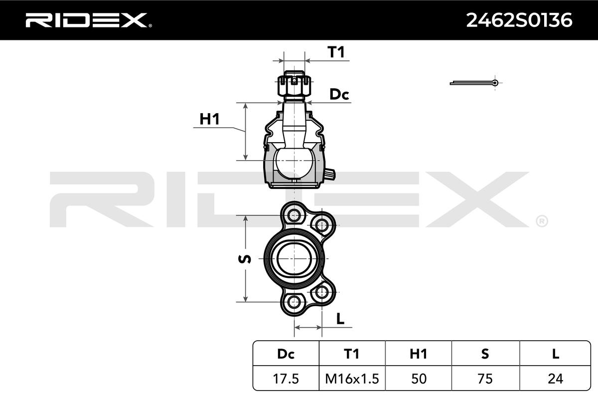 RIDEX Šarniir 2462S0136
