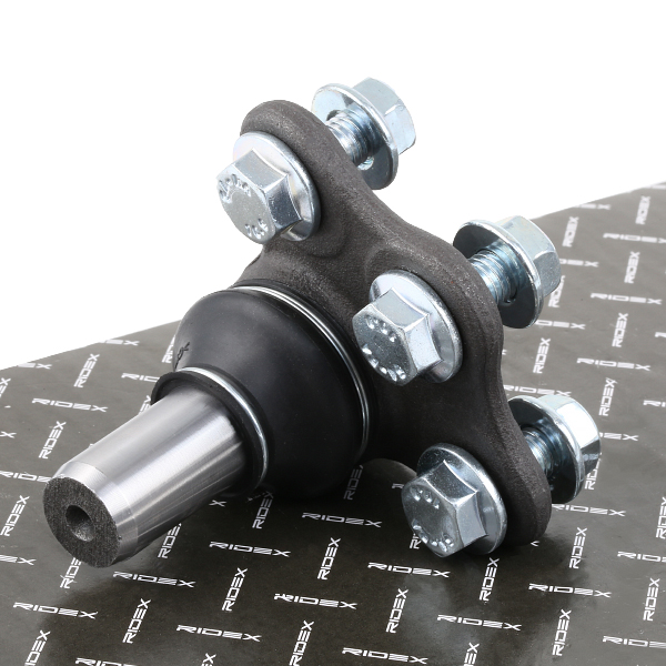 RIDEX Šarniir 2462S0137
