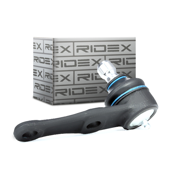 RIDEX Šarniir 2462S0141