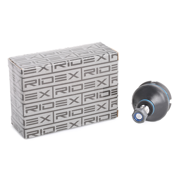 RIDEX Šarniir 2462S0151
