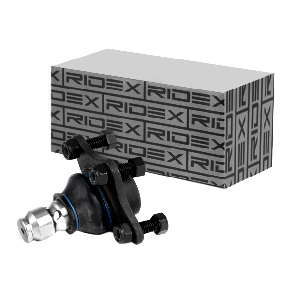 RIDEX Šarniir 2462S0161