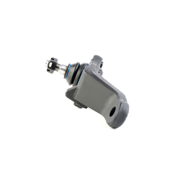 RIDEX Šarniir 2462S0162