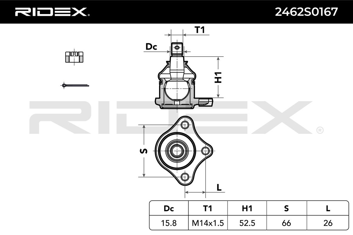 RIDEX Šarniir 2462S0167