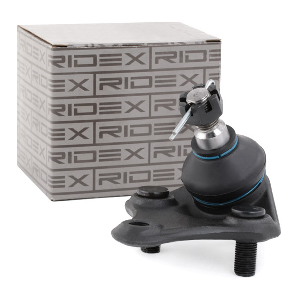 RIDEX Šarniir 2462S0171