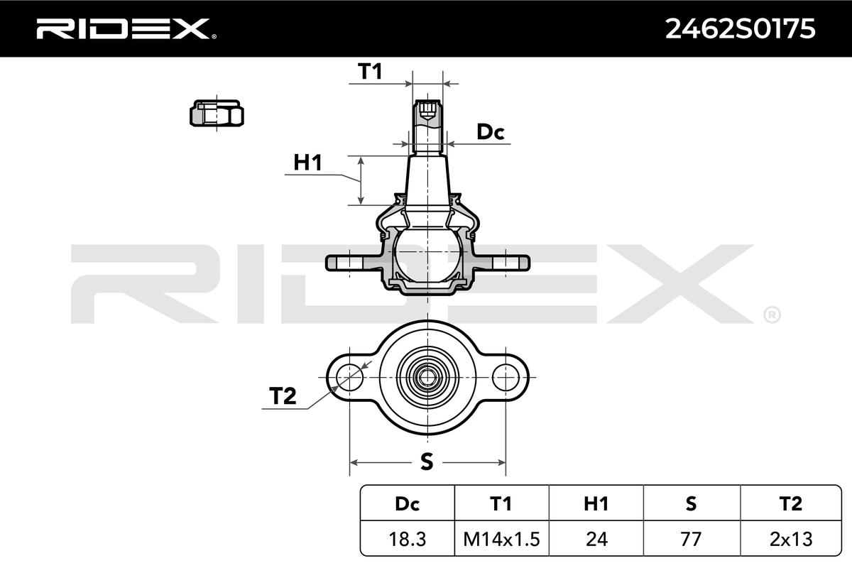 RIDEX Šarnyras / girgždukas 2462S0175