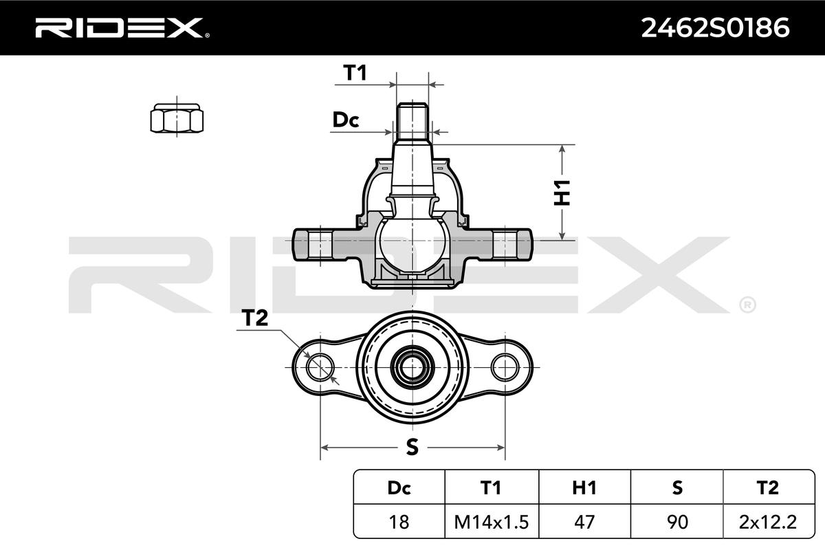 RIDEX Šarniir 2462S0186
