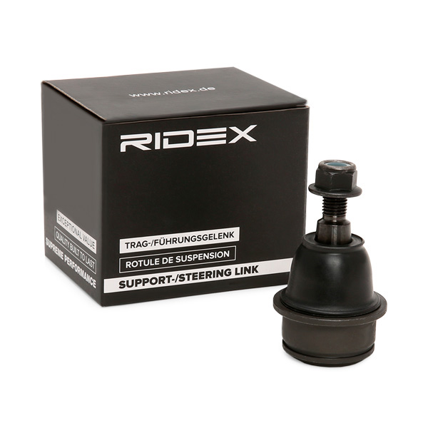 RIDEX Šarniir 2462S0187