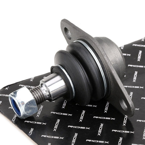 RIDEX Šarniir 2462S0206