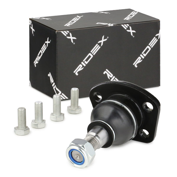 RIDEX Šarniir 2462S0216