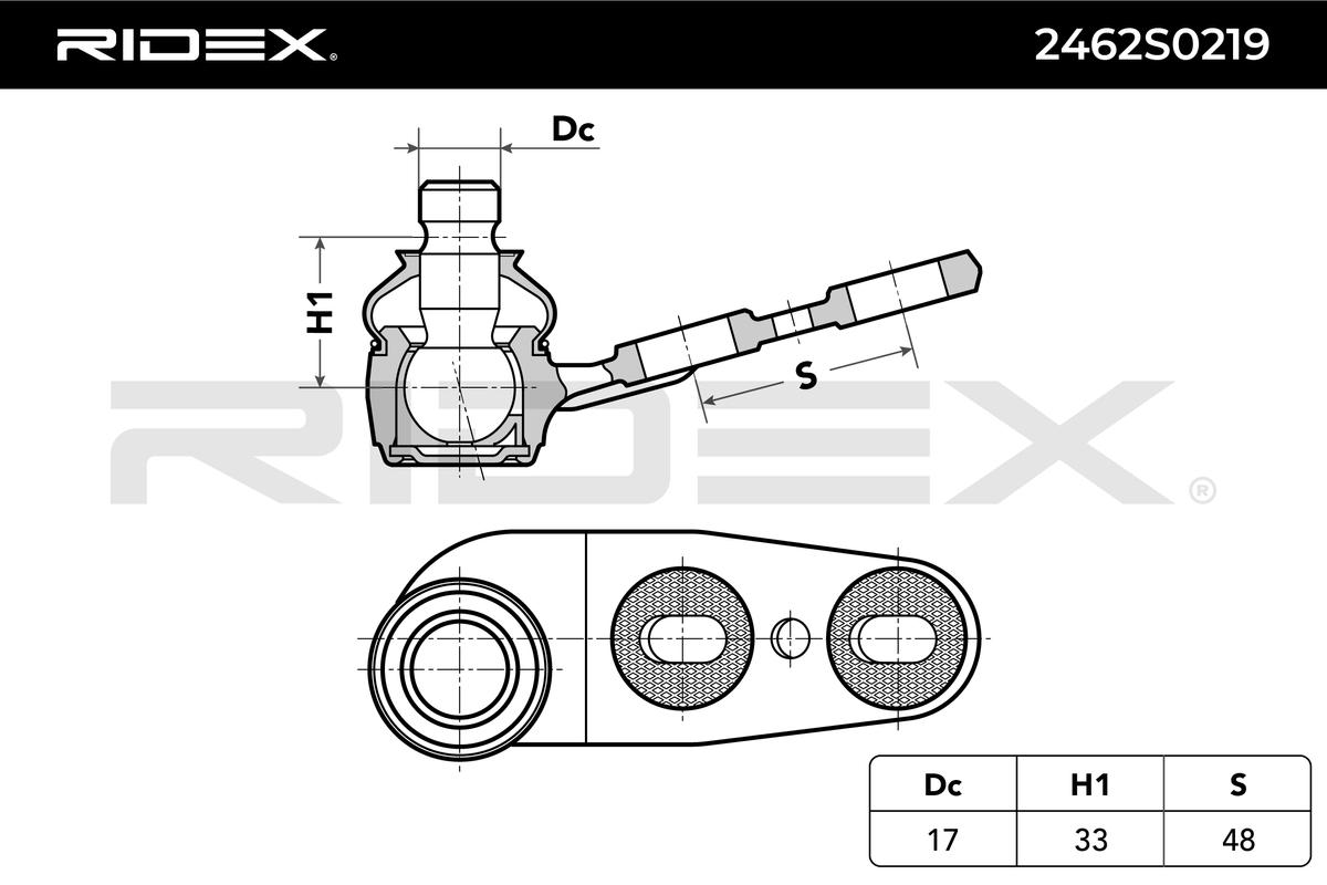 RIDEX Šarniir 2462S0219