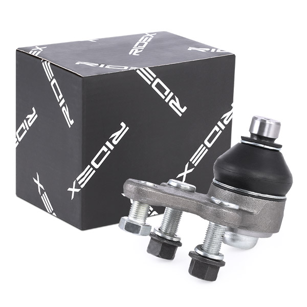 RIDEX Šarniir 2462S0221