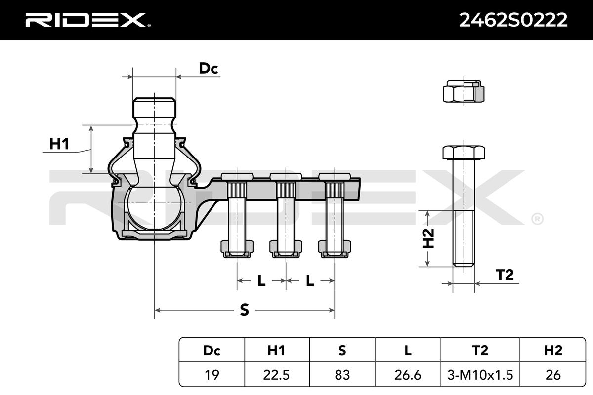 RIDEX Šarniir 2462S0222